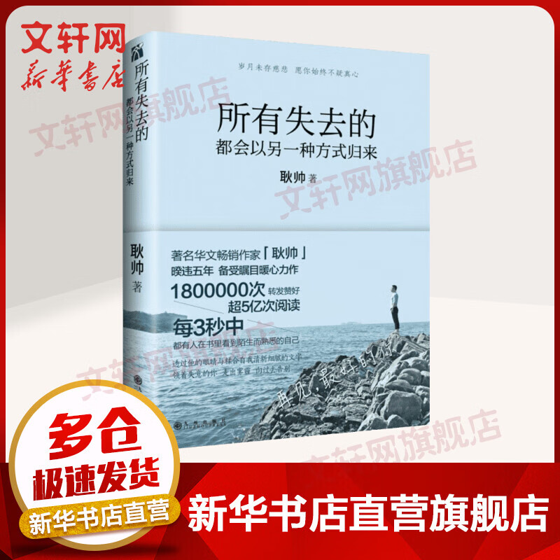 所有失去的都会以另一种方式归来 耿帅的书