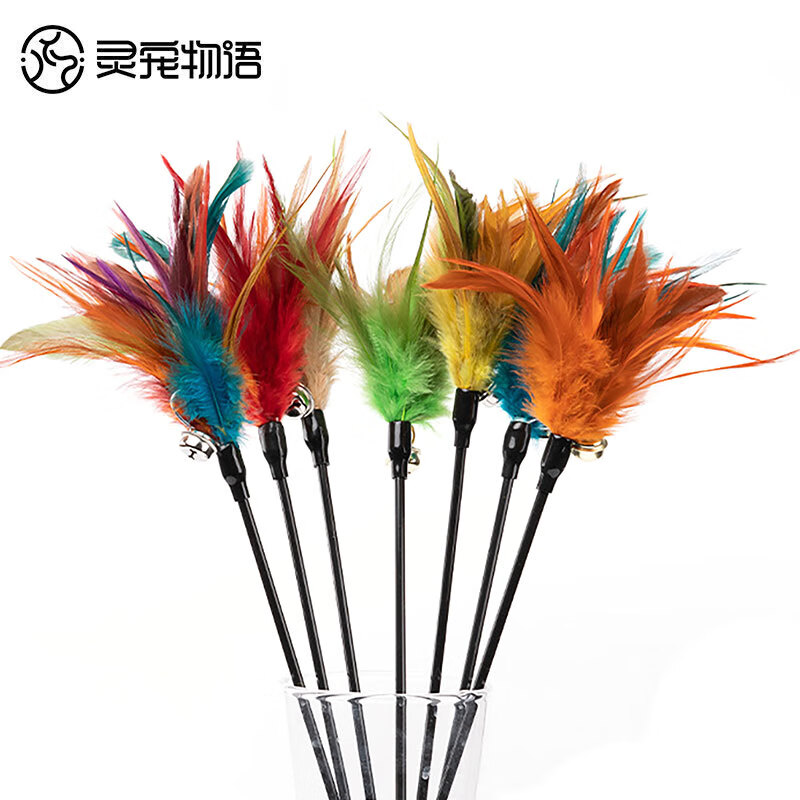 猫玩具历史价格走势查询|猫玩具价格走势