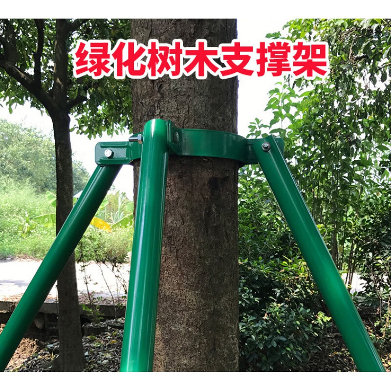 六卿树木支撑固定器绿色烤漆粗钢管铁抱箍大树防风支撑杆树木固定支架