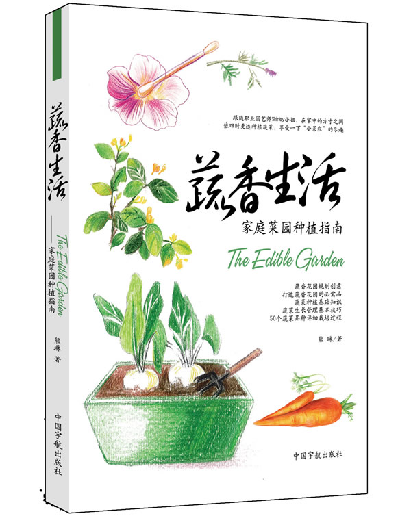 阳台种菜