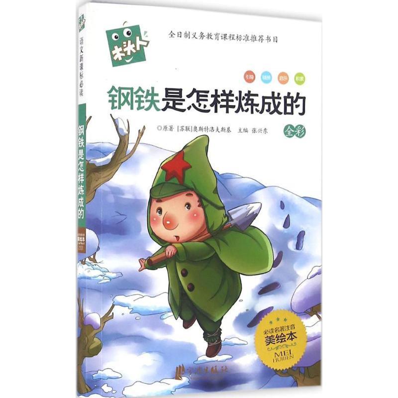 钢铁是怎样炼成的:全彩 张兴东