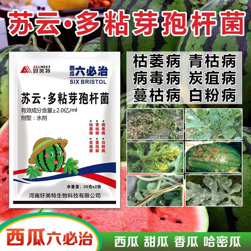 好美特西瓜六必治剂叶面专用肥防死苗甜香瓜哈密瓜枯萎蔓枯病药 西瓜