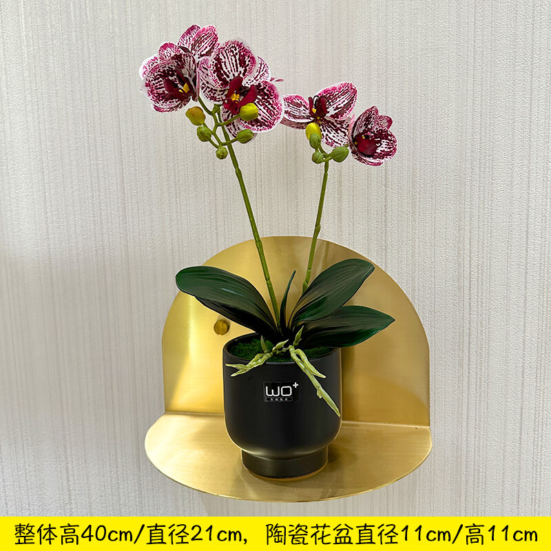 盆栽摆件室内家居桌面茶几摆放简约装饰花 黑色圆瓷盆 紫色斑点蝴蝶兰