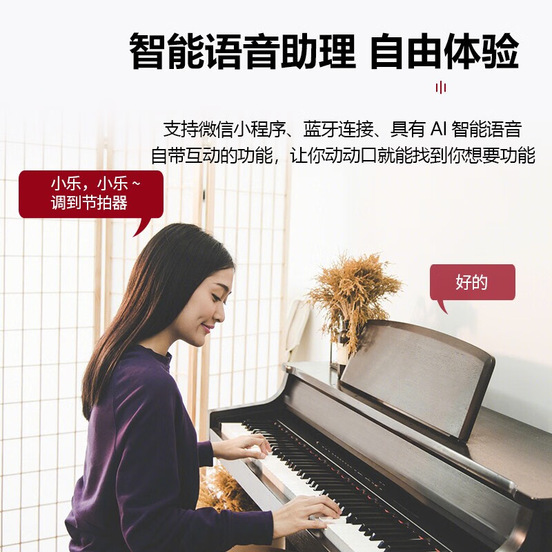 雷费尔德（RYEFIELD）立式电钢琴88键重锤考级专业成人初学者数码钢琴儿童电子钢琴 RY688重锤-胡桃棕