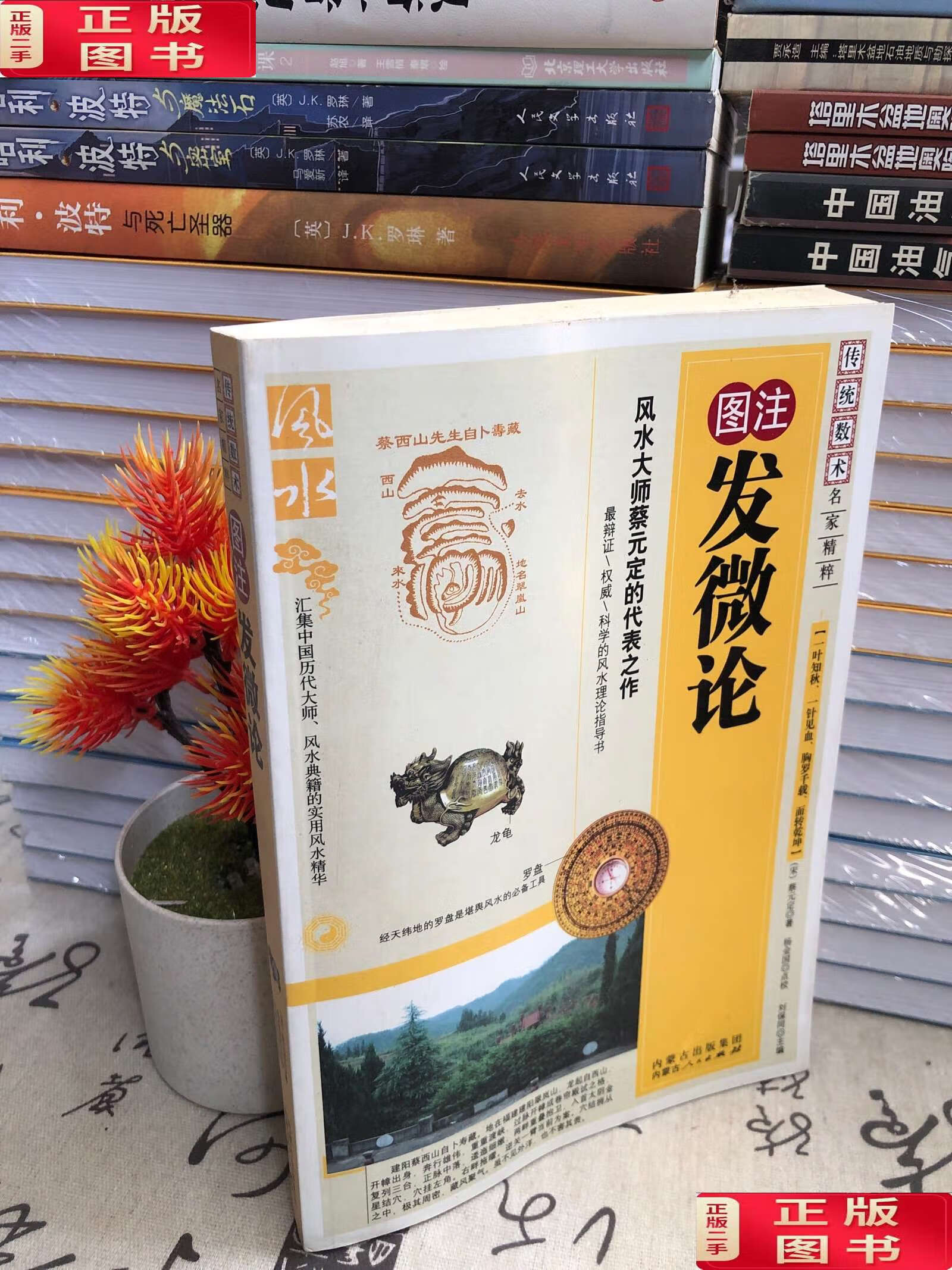 【二手9成新】图注发微论 /蔡元定 内蒙古人民