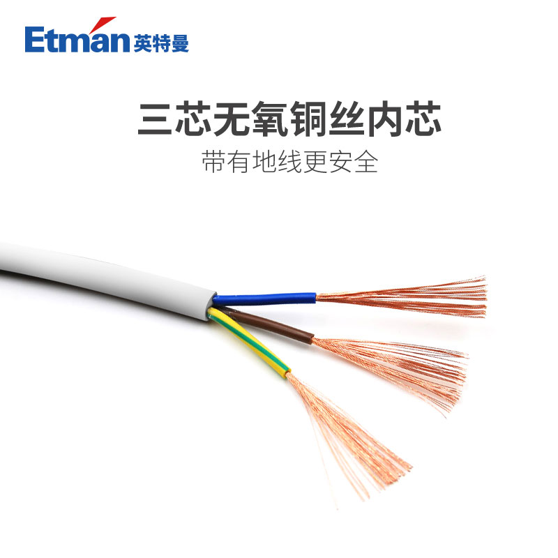 英特曼（Etman）16A延长线 三芯插头电源插座延长线0.5米 大功率电源0.5M拖线板接线板插排0.5M