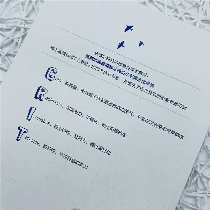从坚毅到卓越：坚持、热情和毅力如何带你从平庸迈向卓越详情图