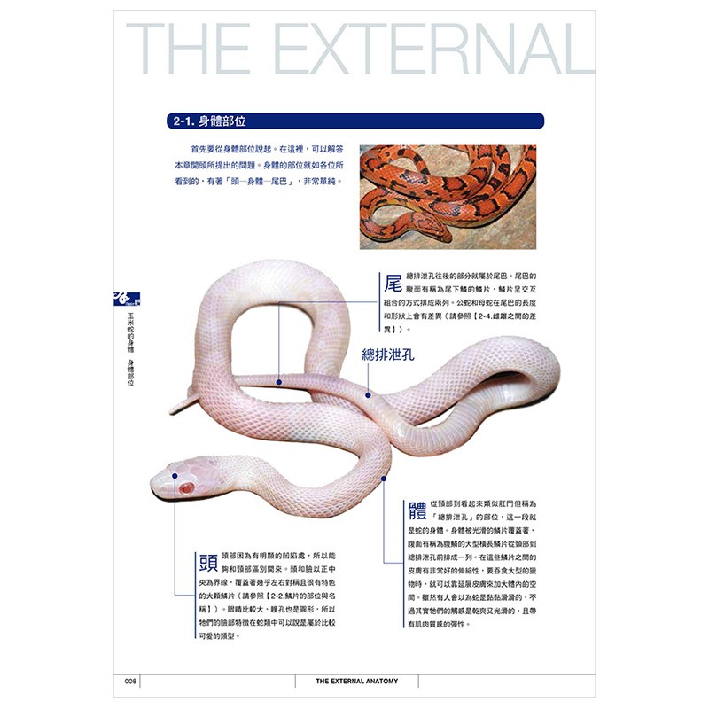 【现货】玉米蛇超图鉴：简单了解玉米蛇的饲养要诀 台湾东贩 港台原版进口生活宠物动物科普善本图书截图