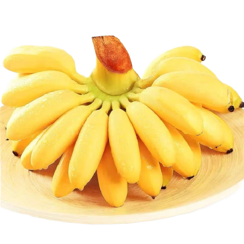 ڲѾС׽ֿ()С㽶ˮز 9(ַ) 17.1Ԫ