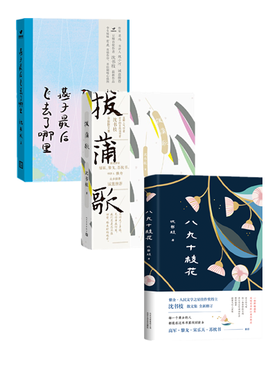 沈书枝作品(全3册)八九十枝花 拔蒲歌 燕子最后飞去了哪里