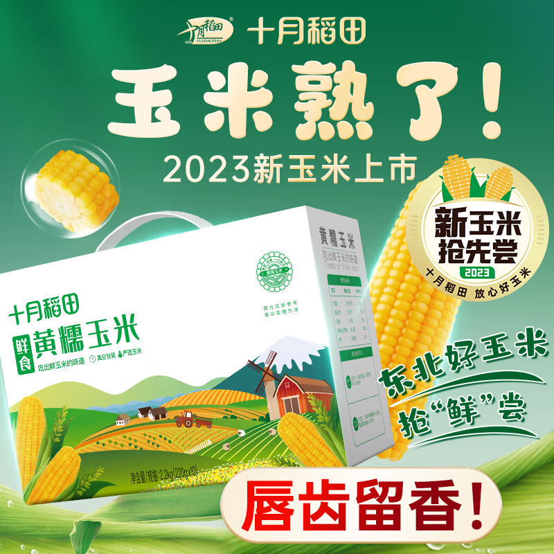 十月稻田 23年新玉米 鲜食黄糯玉米 2.2kg(220g*10) 北纬45° 东北黄甜糯怎么看?