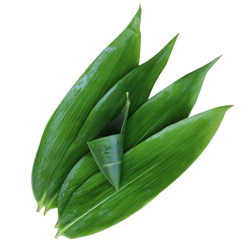 粽叶粽子叶粽粑叶新鲜野生大粽叶真空鲜粽叶子包粽子的干叶子芦苇