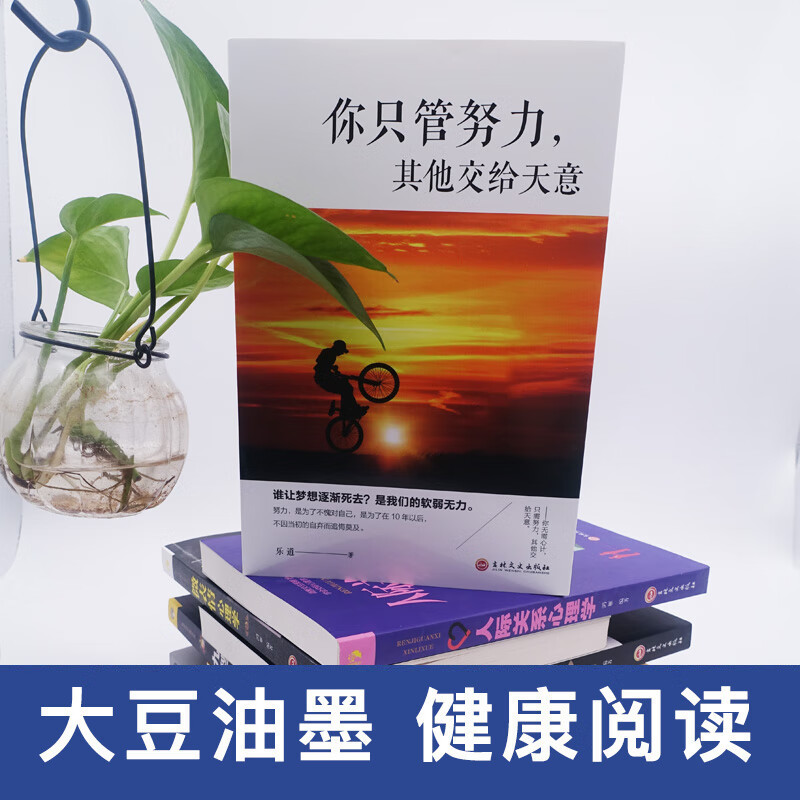 你只管努力，其他交给天意详情图