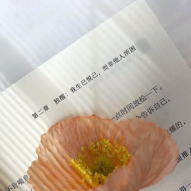 正心正念凡事发生皆有利于我详情图