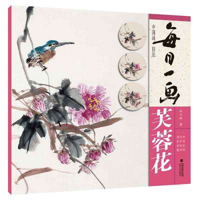 每日一画.芙蓉花