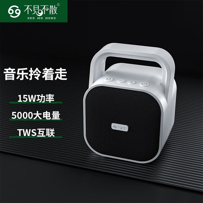 不见不散BV670手提户外小型无线蓝牙音箱低音炮大功率专业广场舞小音响便携式大音量扩音器家用播放器 白色