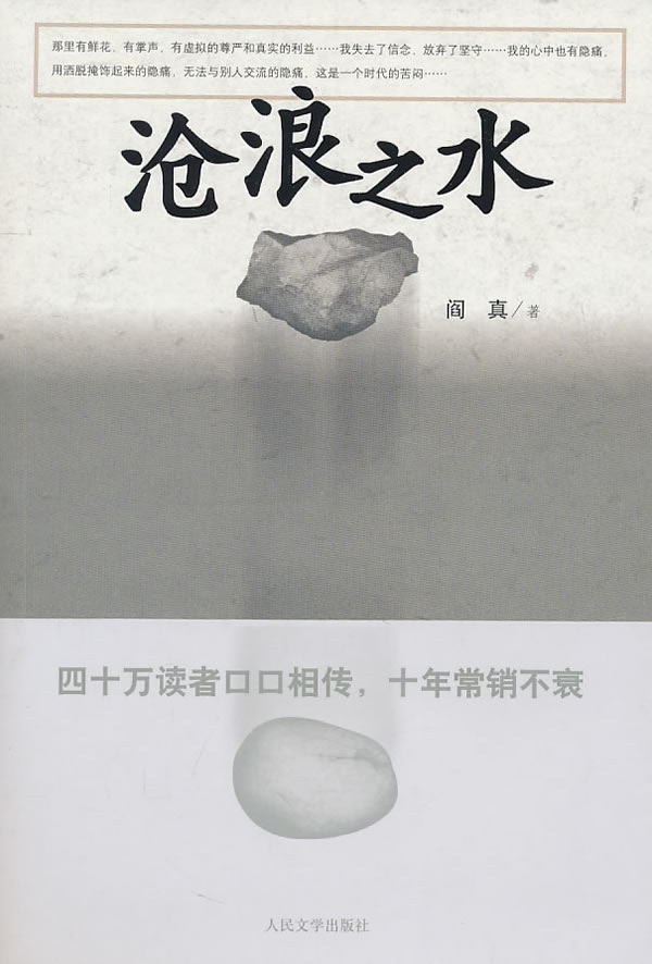 沧浪之水阎真人民文学出版社
