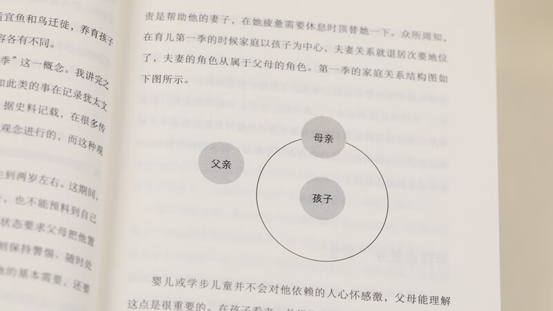 可怕的两岁（新版）详情图