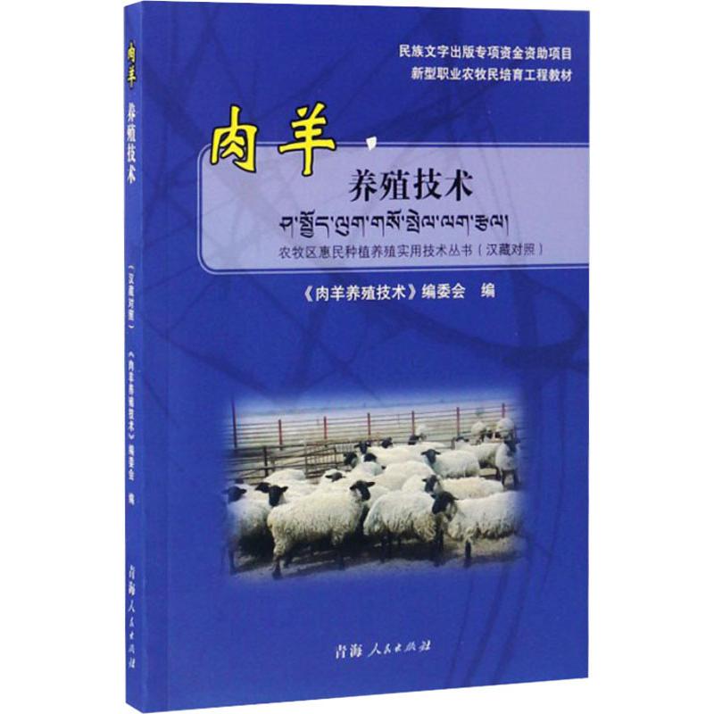 肉羊养殖技术