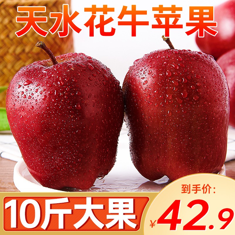甜可果园 甘肃天水花牛蛇苹果 粉面蛇果 现摘现发当季新鲜时令水果 10斤大果（净重8.5-9斤）75-80mm