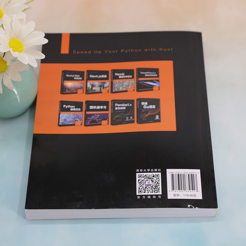 Python高效编程——基于Rust语言