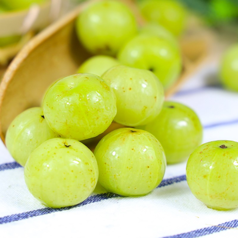 仙迹寻踪广东潮汕油甘果新鲜余甘果橄榄檀香余甘子牛柑子滇柑子果新鲜