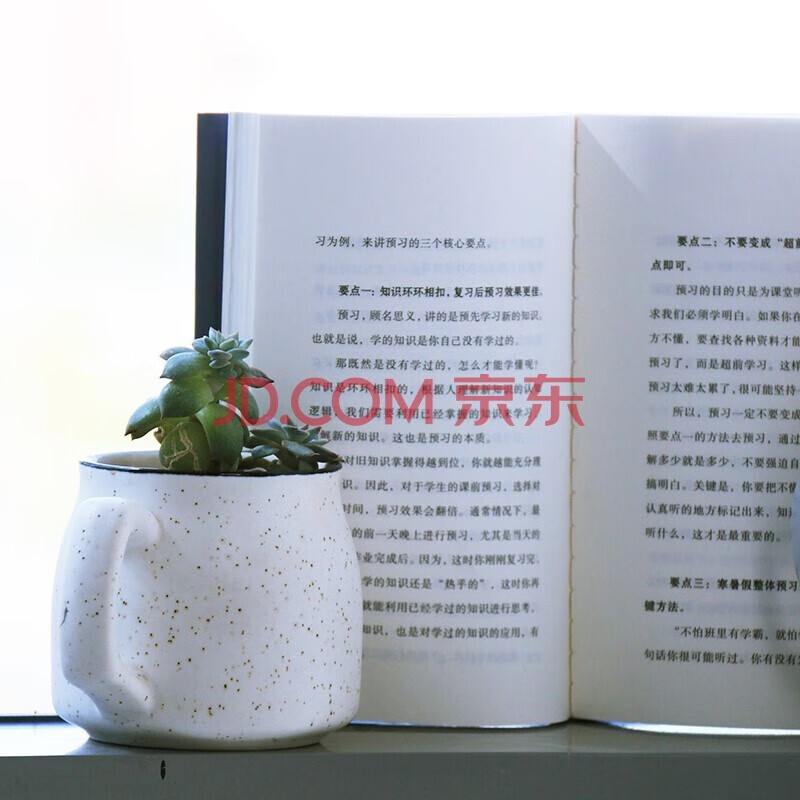 【自营包邮】极简学习法 ：考试高分的秘密，上百位清北学霸学习方法大公开