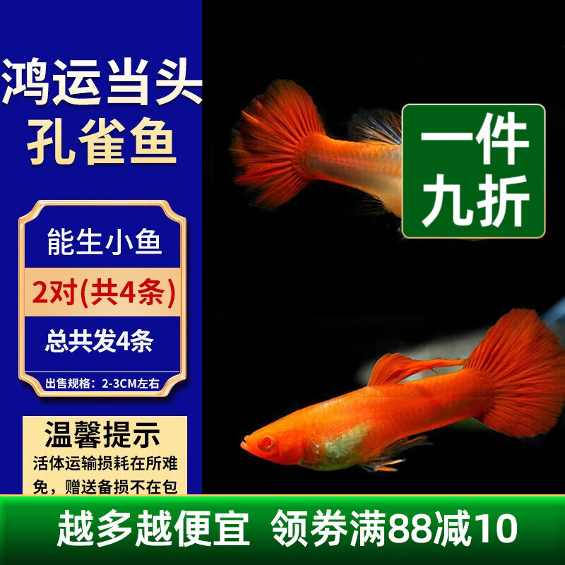 怎么看京东水族活体商品的历史价格|水族活体价格走势