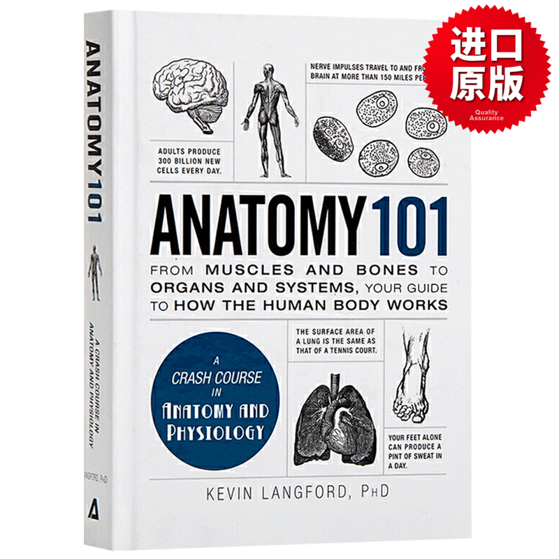 101系列 解剖学 英文原版 Anatomy 101 医学相关丛书 精装版 全英文版 进口英语书籍