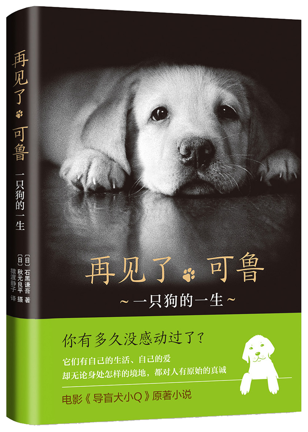 再见了，可鲁