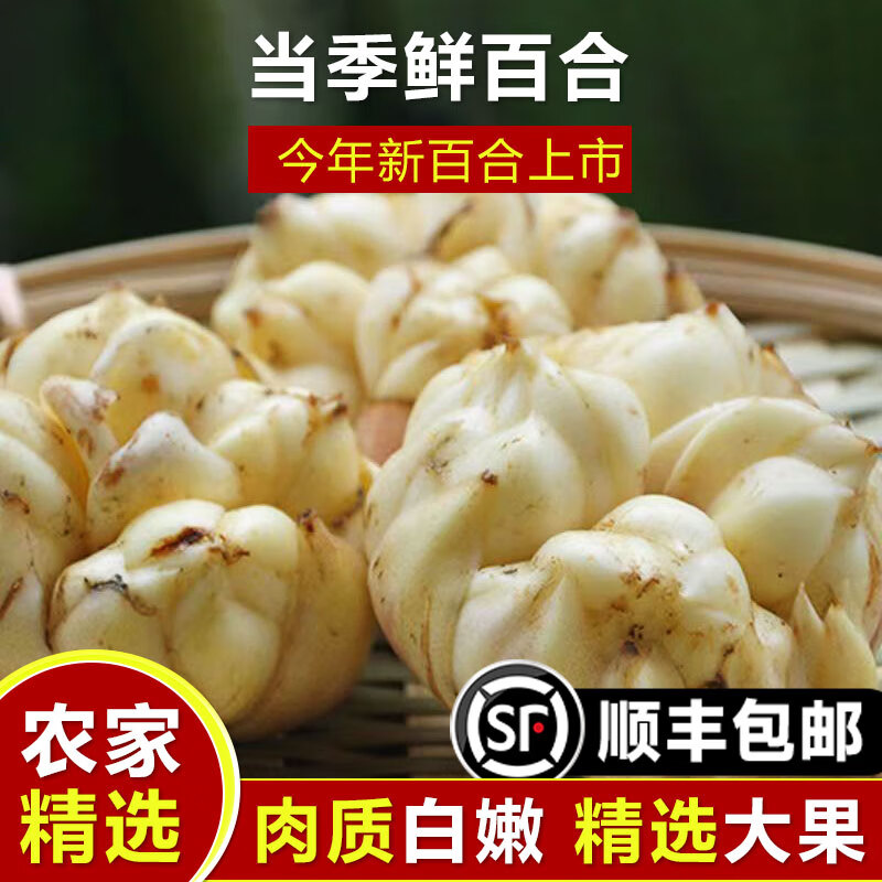 2024現(xiàn)挖龍山新鮮百合2500g特產(chǎn)級(jí)百合農(nóng)家食用大百合非宜興 1000g 5頭