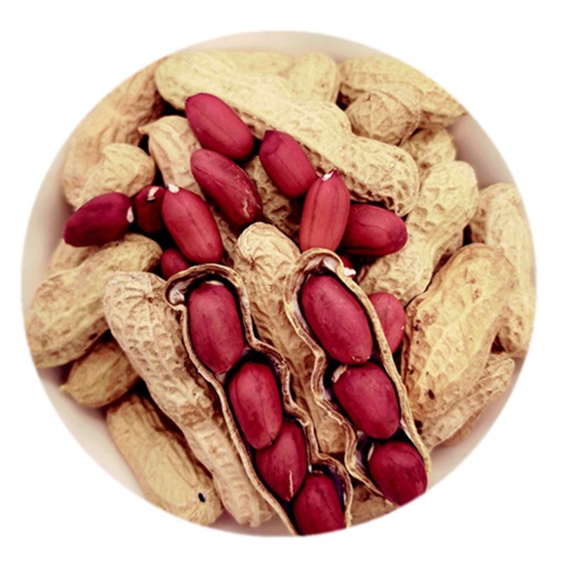 2021新货带壳四粒红生花生果红皮米仁炒货熟原香味2500g5斤小锅炒