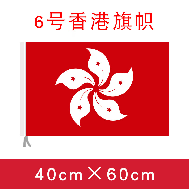 办公双面香港区旗4号香港港旗帜定制紫荆花旗不褪色户外装饰3号2号5号