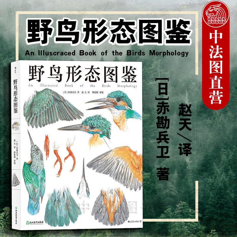 出版公司直发】 野鸟形态图鉴 鸟类观察爱好者野鸟形态鸟类观察技巧