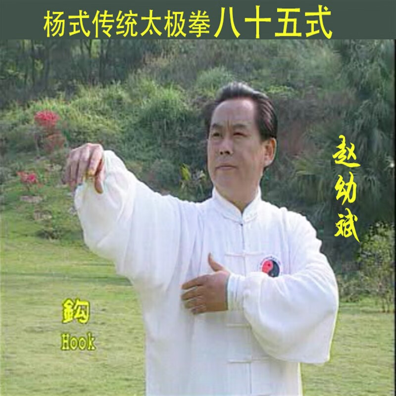 传统杨式85式太极拳视频u盘杨氏八十五式dvd光碟非网盘下载 2张dvd