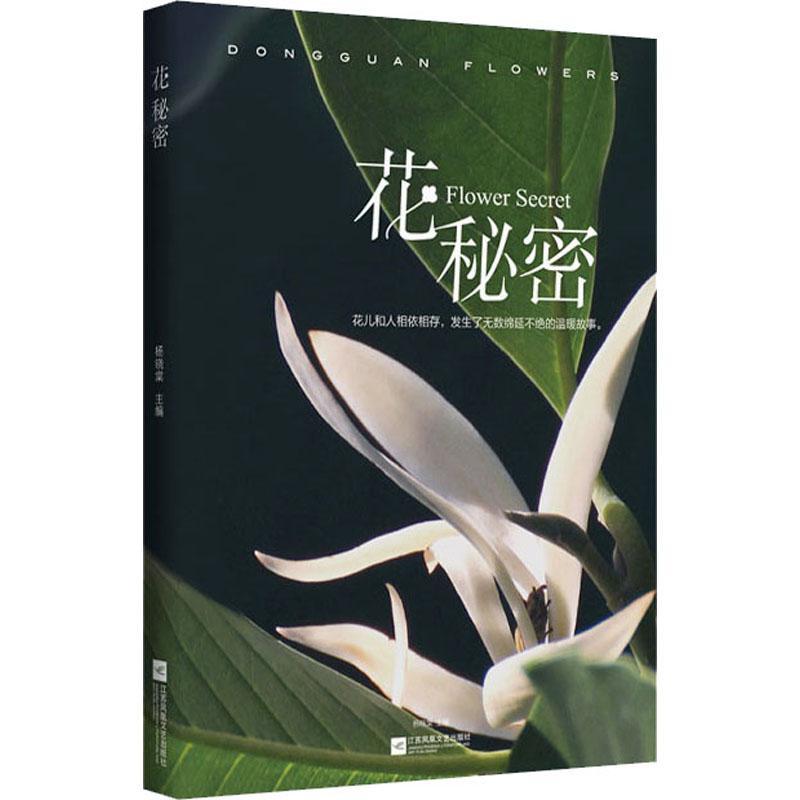 花秘密杨晓棠江苏凤凰文艺出版社9787559453808 文学书籍
