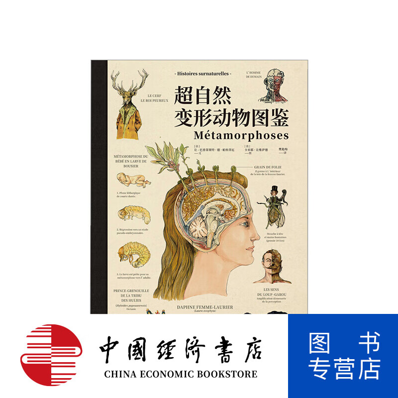 超自然变形动物图鉴