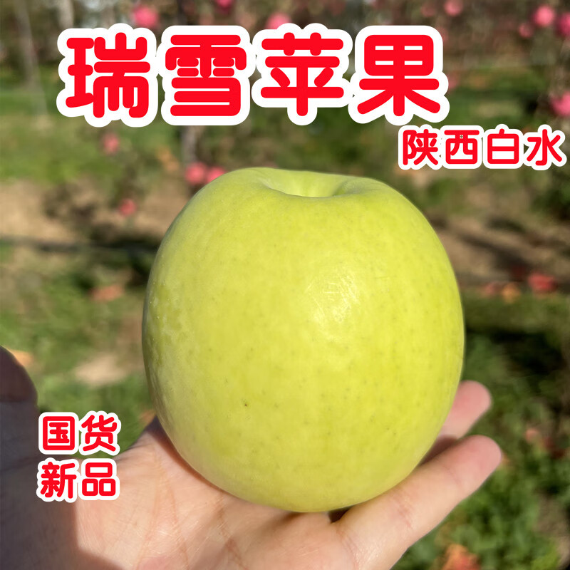 ˧�Ѷ�������ˮ��ѩƻ�����ڴ�����2024����������ƻ����Ʒˮ��������� 4.5�� 70-75mm 14-16��