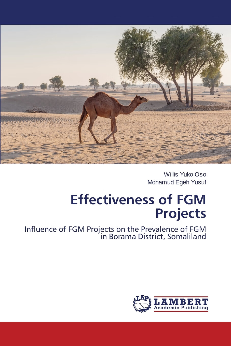 【预售 按需印刷】effectiveness of fgm projects