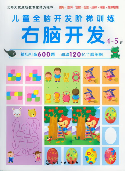 儿童全脑开发阶梯训练 4-5岁 右脑开发