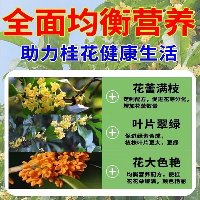 桂花树专用营养液肥料生根液枯叶焦尖黄叶专用有机肥盆栽叶面肥 桂花树肥料专用肥 1瓶