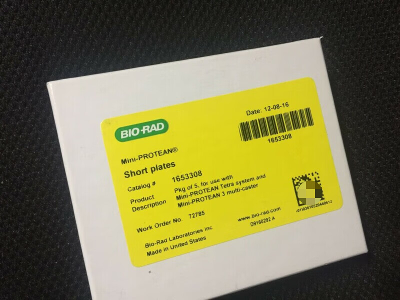 biorad伯乐小型垂直电泳薄玻璃板短玻璃板长制胶板1653308-12