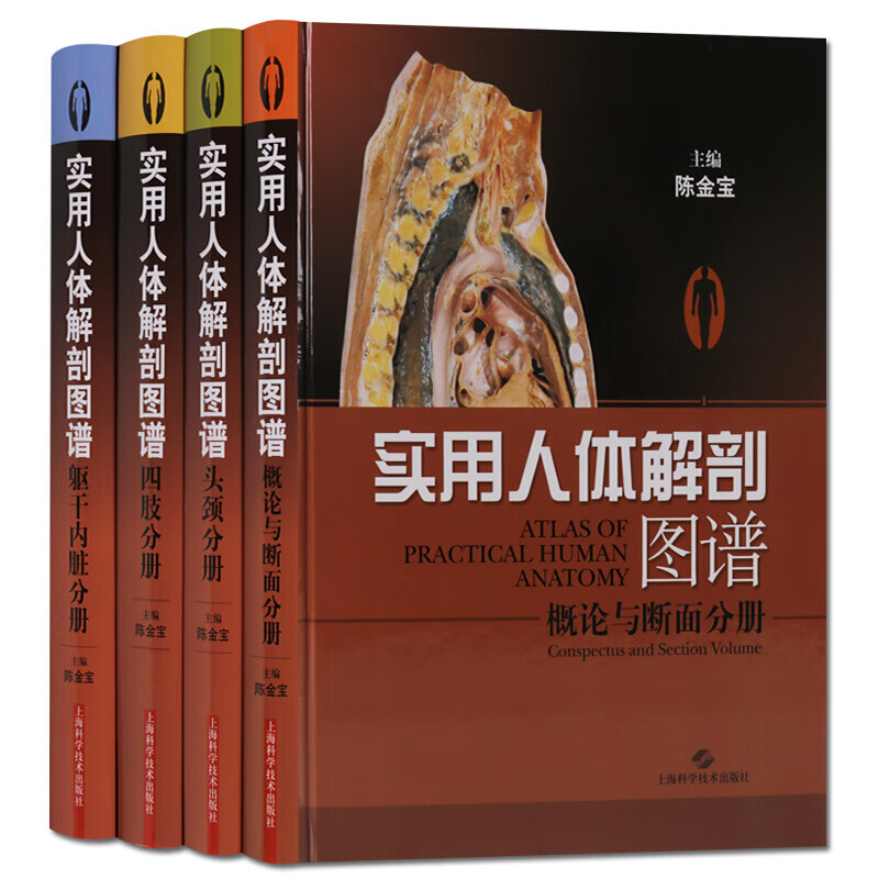 实用人体解剖图谱 全套4册 人体解剖学断面解剖学医学书籍陈金宝彩图版格氏解剖学基础上海科学技术出版社