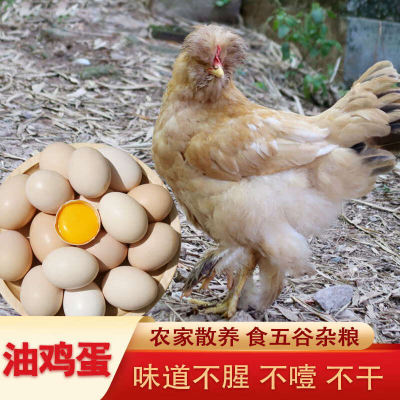 密之蓝天北京农家散养油鸡蛋30枚谷物蛋 30枚