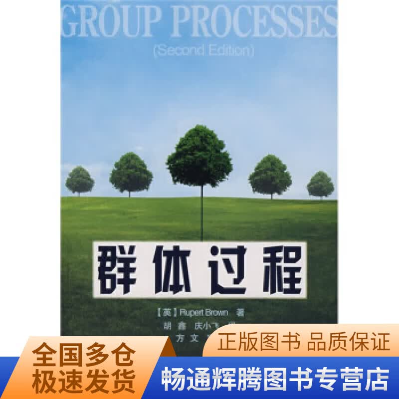 群体过程【正版特惠】