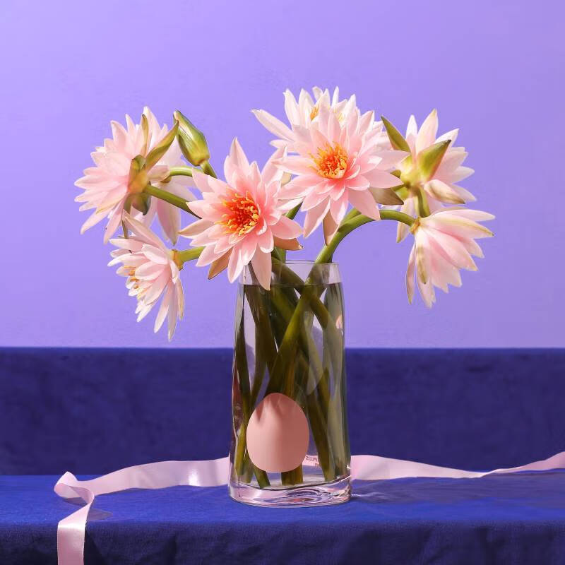 简值了香槟睡莲10枝产地直发生活鲜花室内办公室桌面装饰鲜花 面装饰