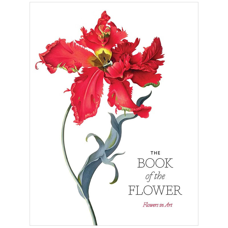 【现货】the book of the flower花之书:艺术之花 花卉插画绘画英文