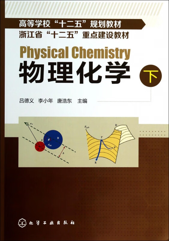 物理化学(下高等学校十二五规划教材)