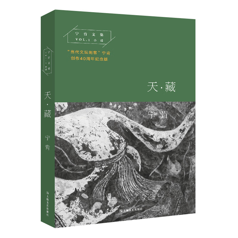 天·藏(宁肯文集)