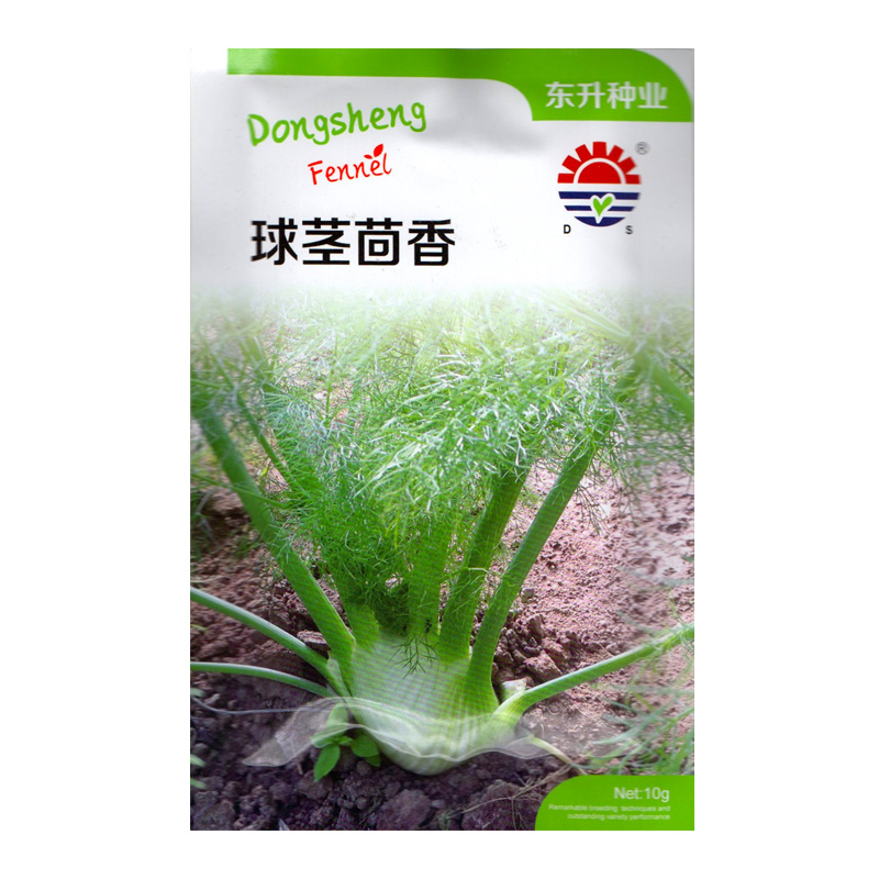 球茎茴香种子 四季小茴香盆栽菜园蔬菜种子 阳台园艺结球茴香种籽